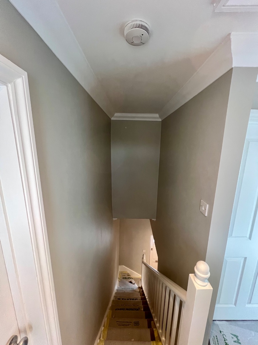 Painter and Decorator: Image 2